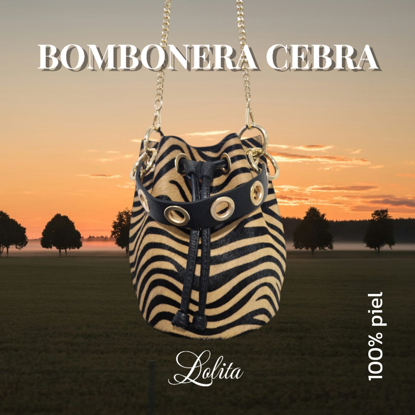 Bolso bombonera cebra, 100& piel